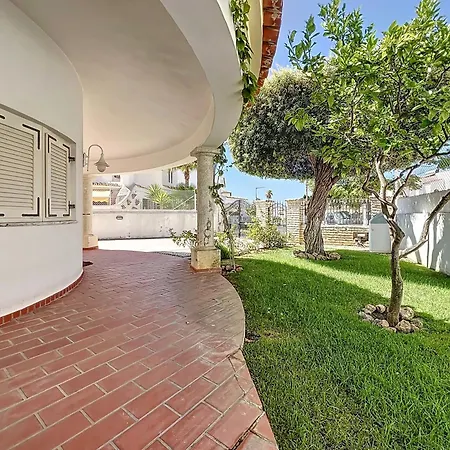 Pineview Terrace And Pool